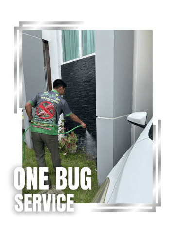 รับกำจัดปลวก นนทบุรี